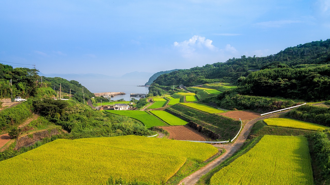最新农村宅基地改革政策，重塑乡村发展的基石，推动乡村振兴新篇章