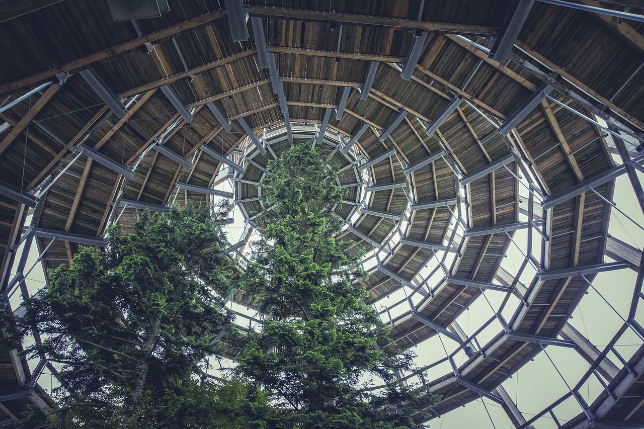 邯郸瑞景湾最新动态，城市发展的微观脉络与生活美学的融合创新