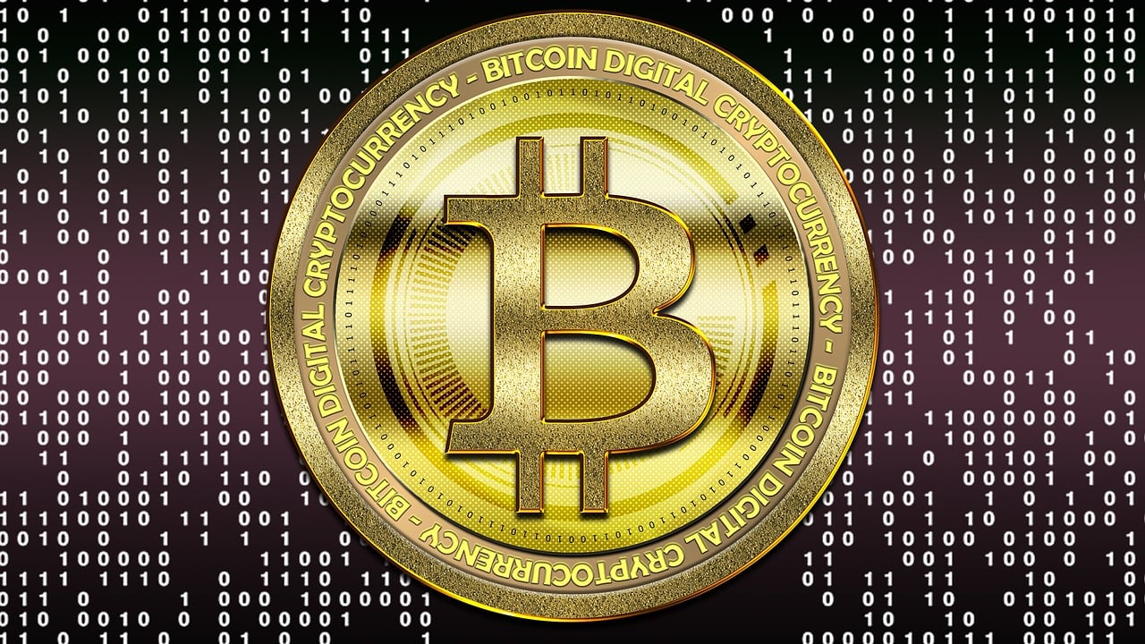十二生肖纪念币价格与市场走势分析，收藏价值深度探讨