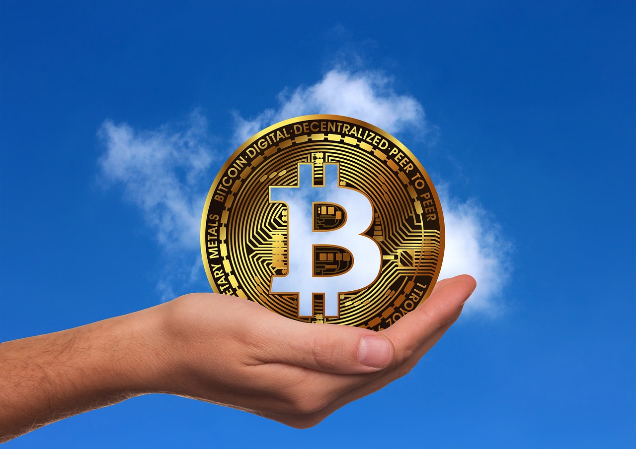 山西大葱最新价格行情分析与趋势预测