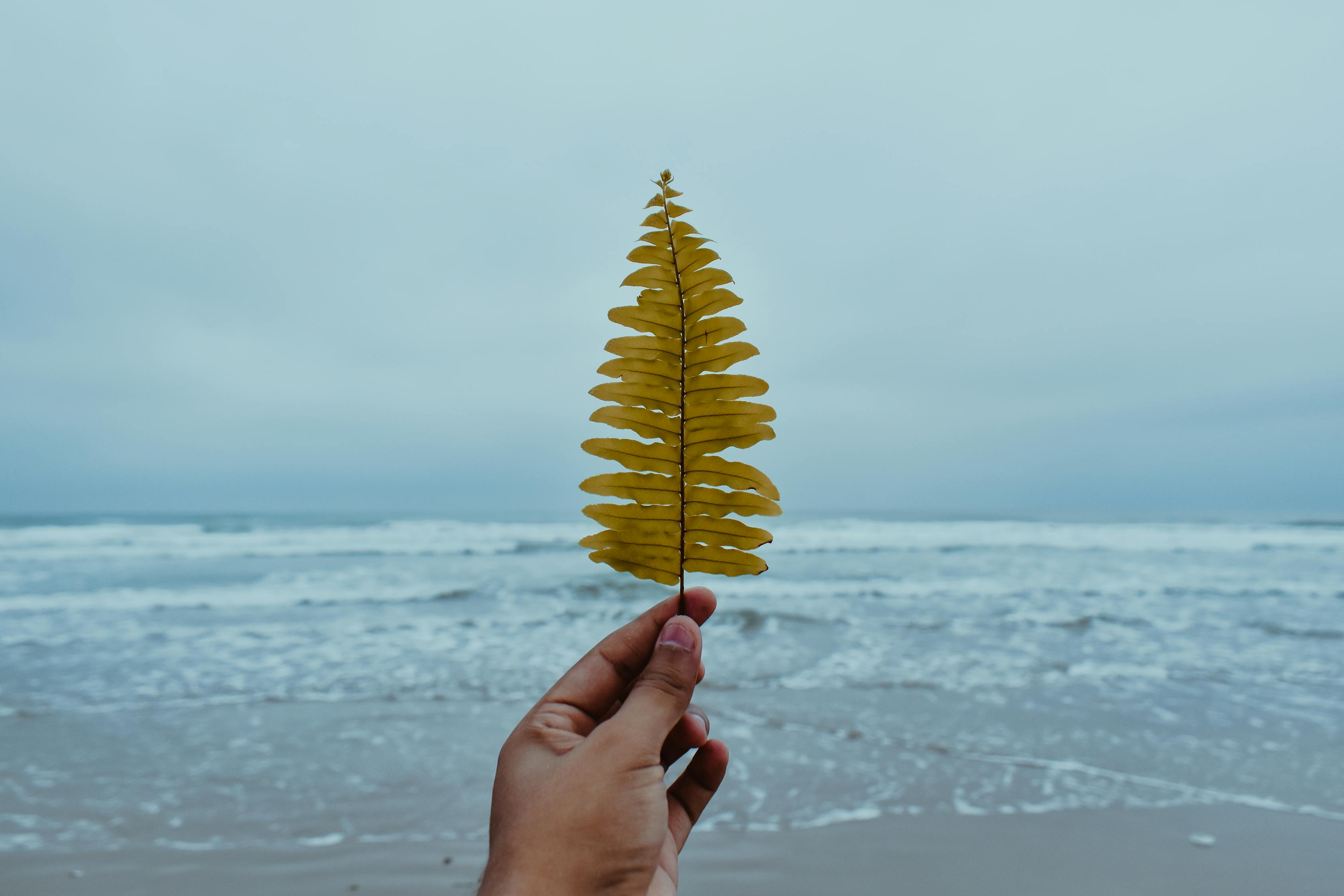海普洛斯引领基因组学前沿，开启生命科技新篇章，最新动态揭秘