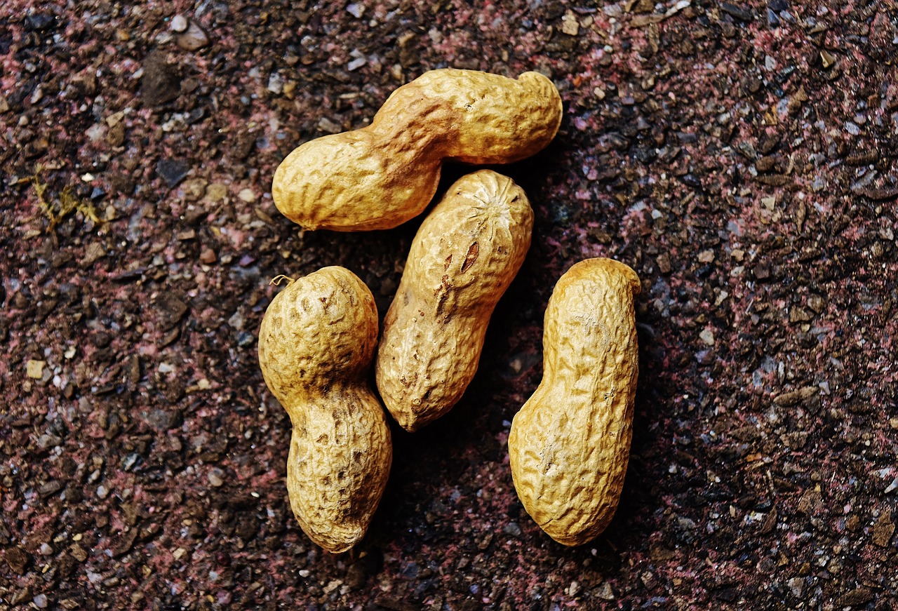带壳花生最新价格行情及分析