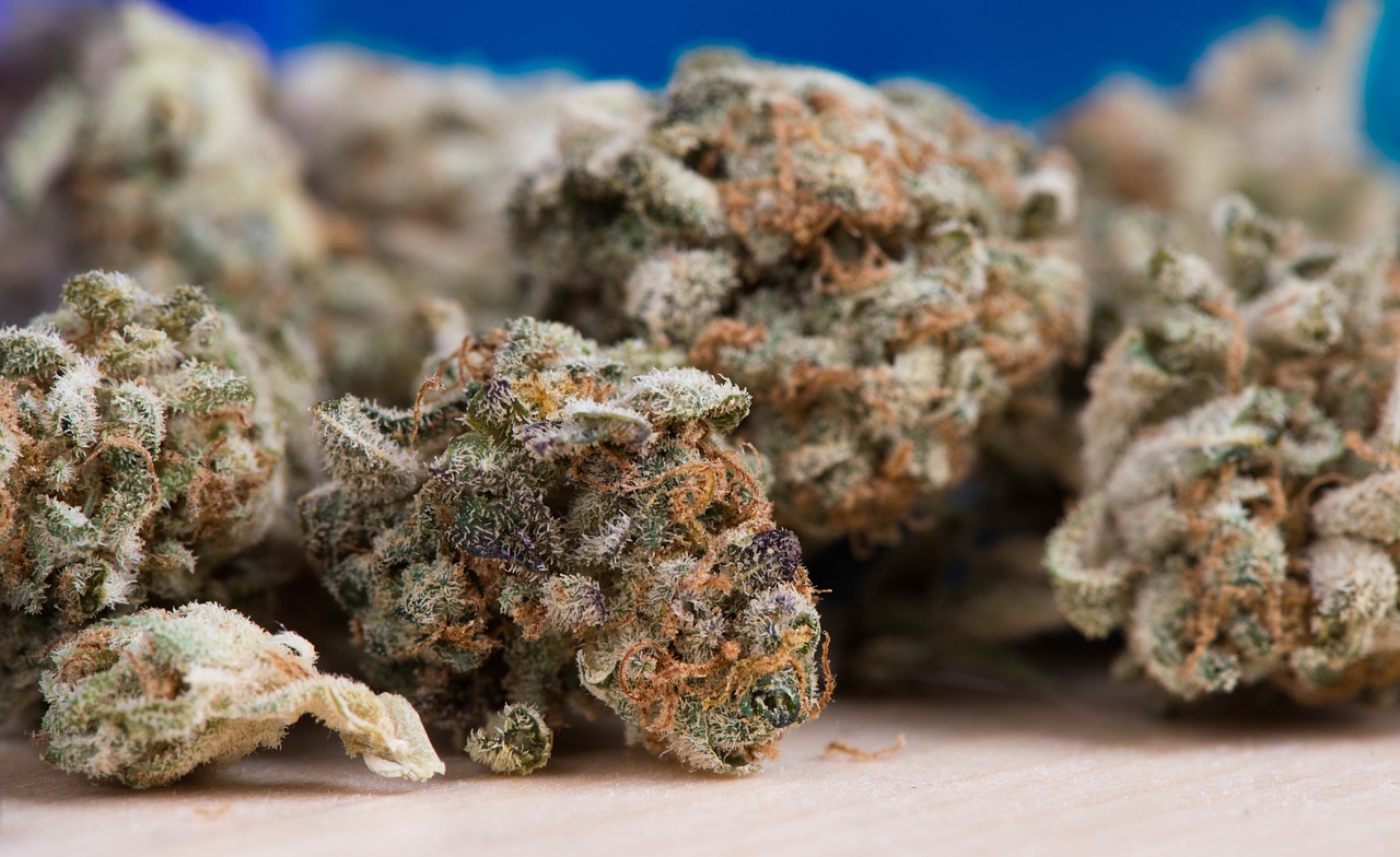 玉双路东延线进展顺利，未来可期，最新动态揭秘！