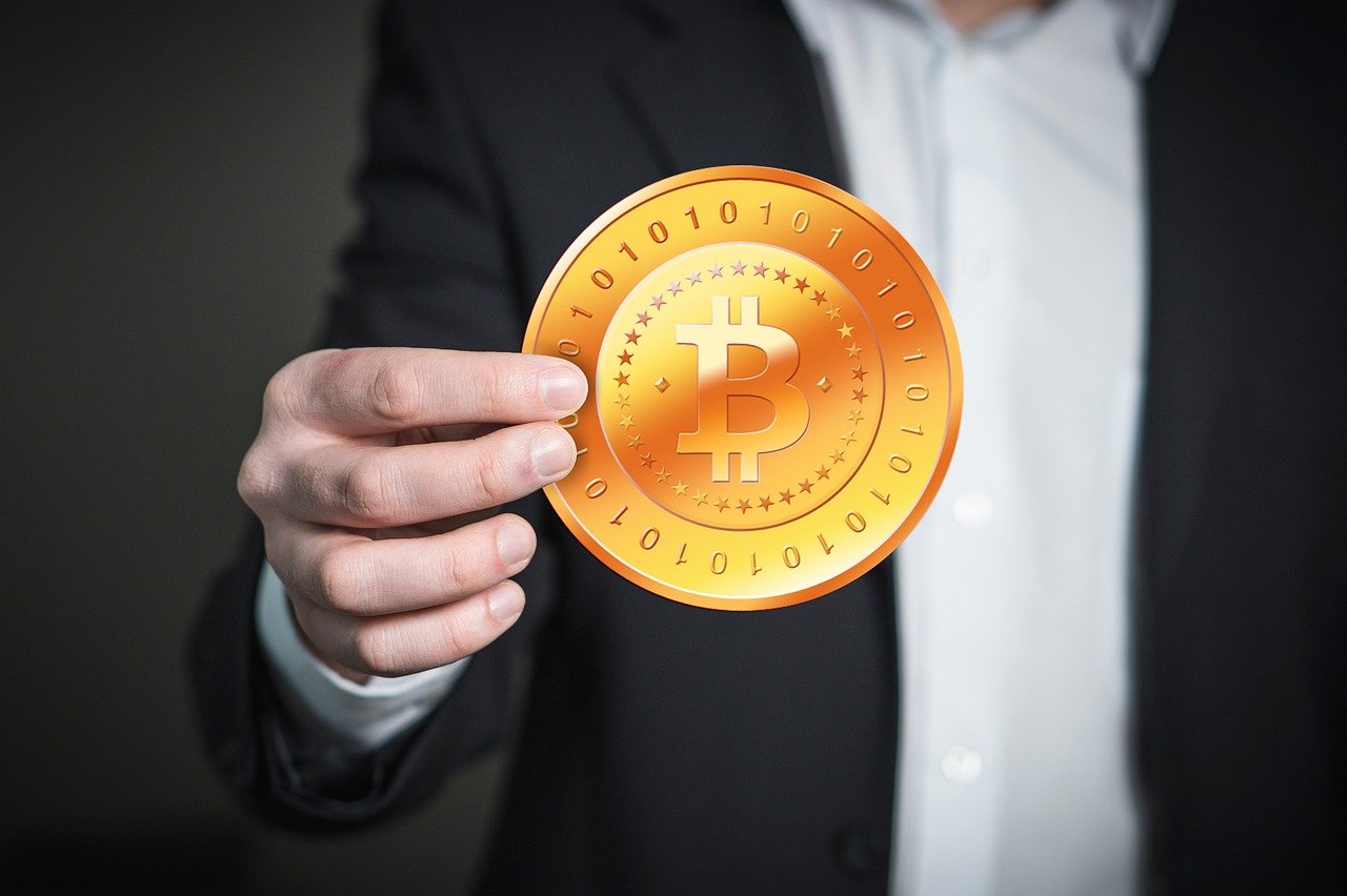 烟草价格行情深度解析与趋势分析