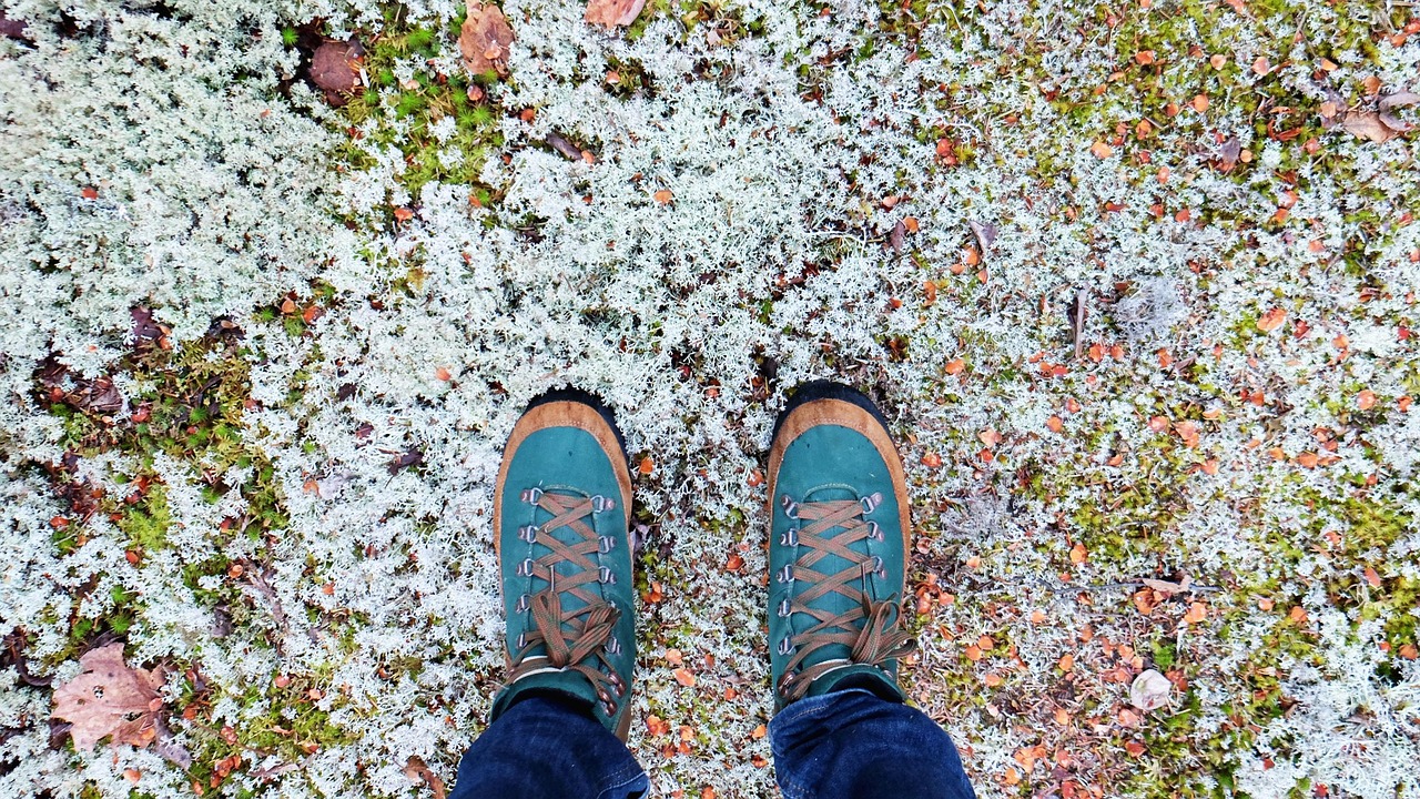 雪熙新动态，引领时尚潮流的新力量巨头