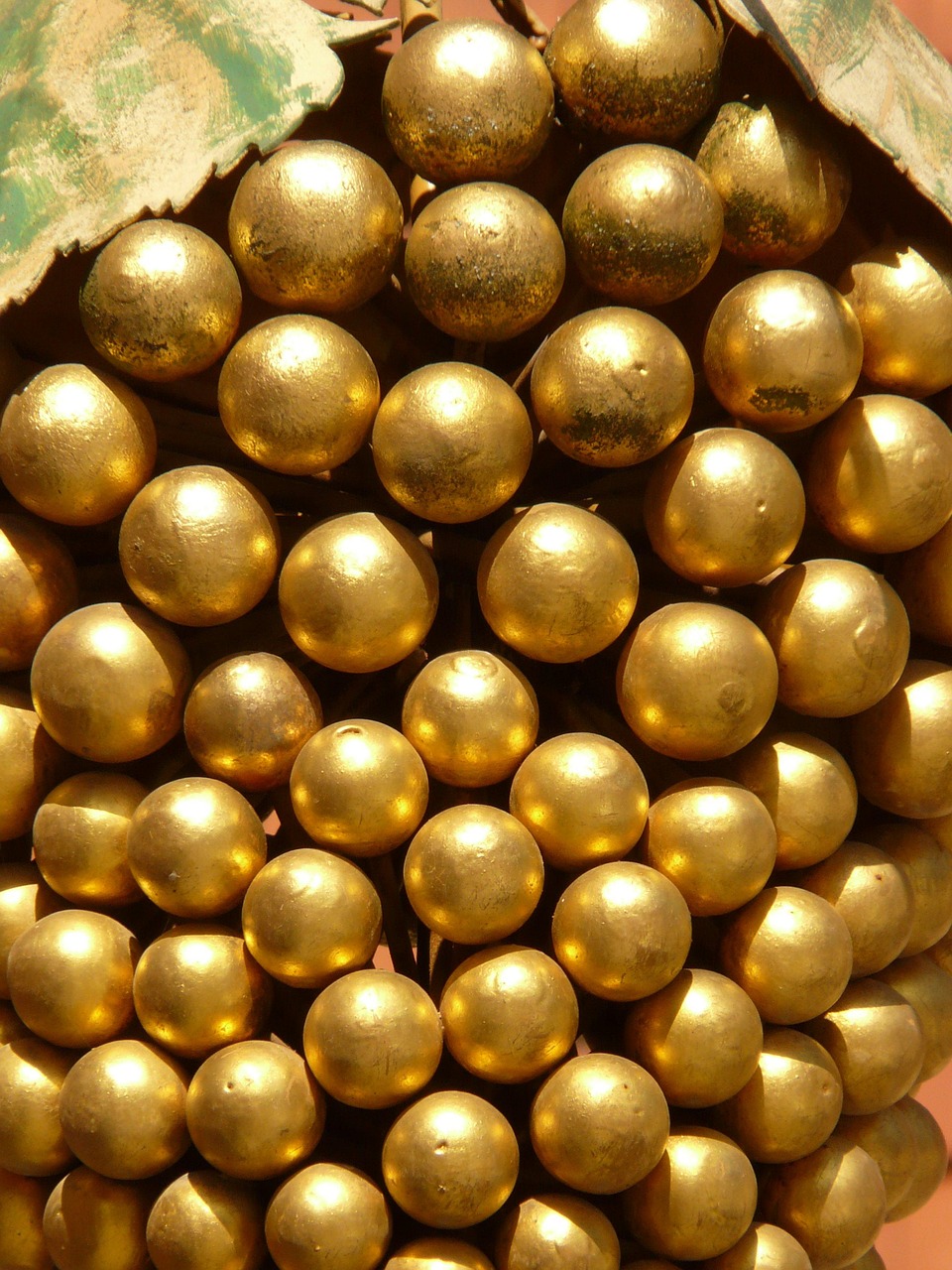 金葡萄家园最新动态揭秘，最新进展与资讯汇总