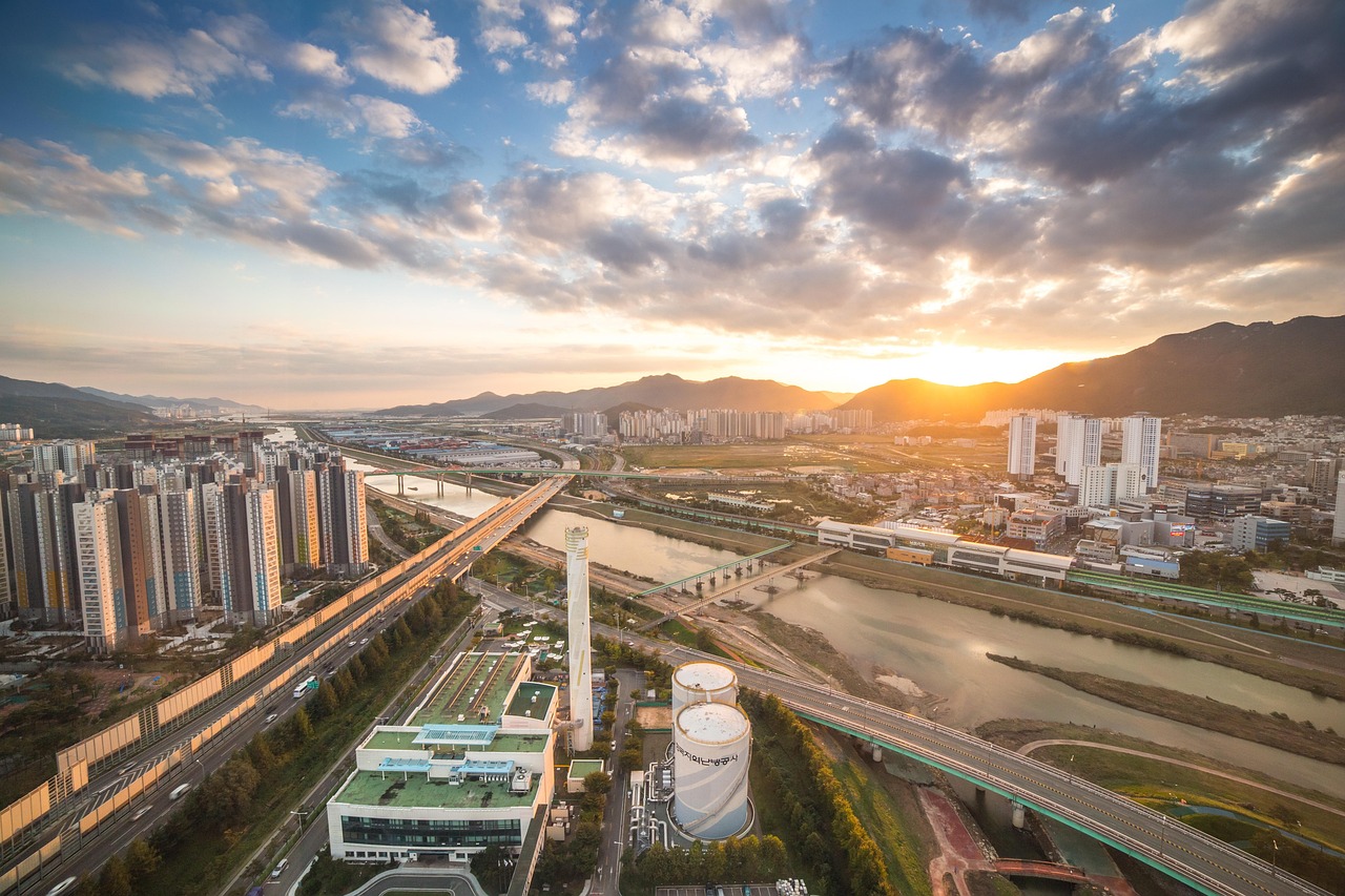 上海热门水产市场概览，最新市场盘点与趋势分析